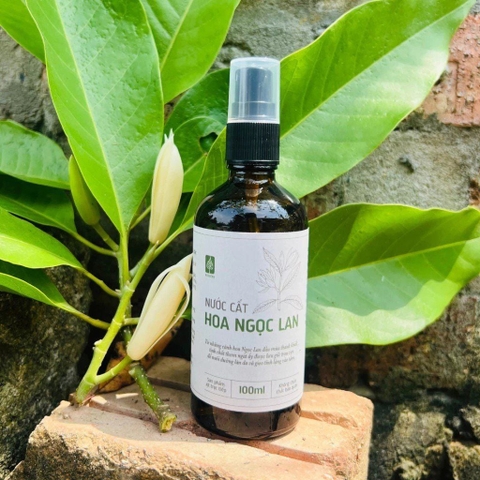 Nước cất Hoa Ngọc Lan 100ml - VietHerb