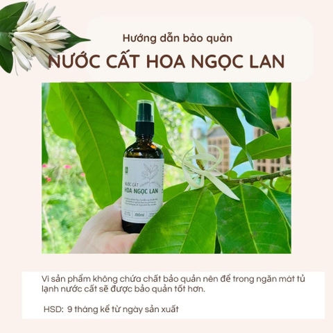 Nước cất Hoa Ngọc Lan 100ml - VietHerb