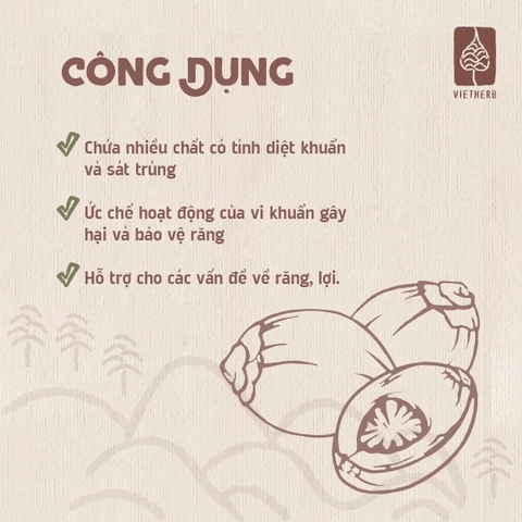 Rượu cau VietHerb 100ml