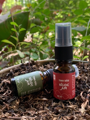 Tinh dầu Ngọc Am 10ml - VietHerb