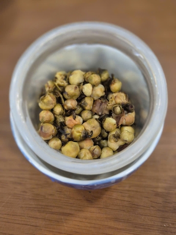Hoa Trà Hoang Dã - Wild Tea Flower