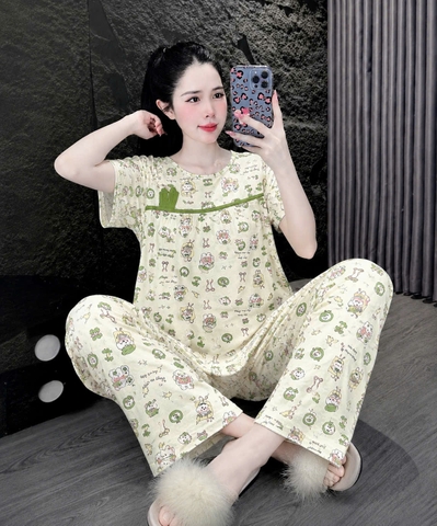 tay ngắn tole đẹp