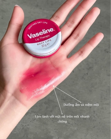 Dưỡng môi Vaseline Lip Therapy - Rosy Lips 20g HỘP THIẾC