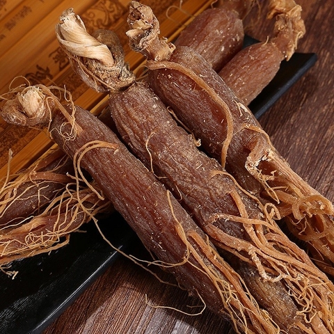 4 tác dụng của thiên sâm đối với sức khỏe con người