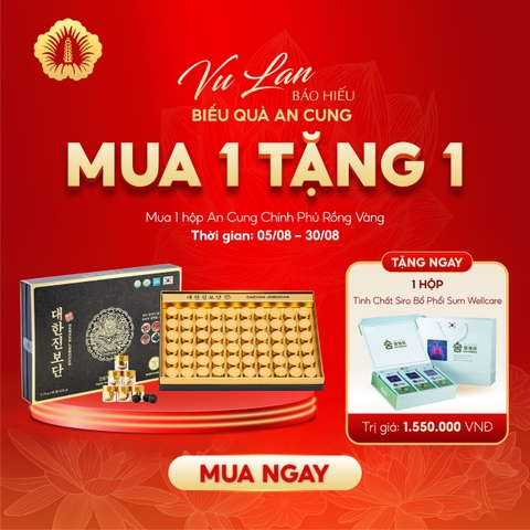 AN CUNG CHÍNH PHỦ RỒNG VÀNG