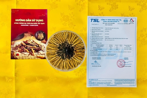 ĐÔNG TRÙNG HẠ THẢO NA KHÚC TÂY TẠNG