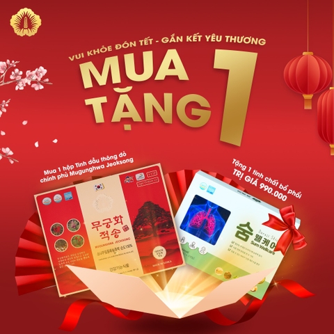 Đại Tiệc Sale cuối năm cùng Sâm Chính Phủ Hàn Quốc 