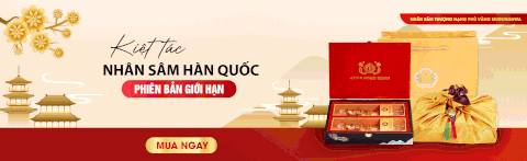Kiệt tác nhân sâm phủ vàng 
