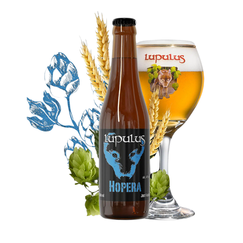 Bia Bỉ Lupulus Hopera 6,0% - Chai 330ml - Thùng 24