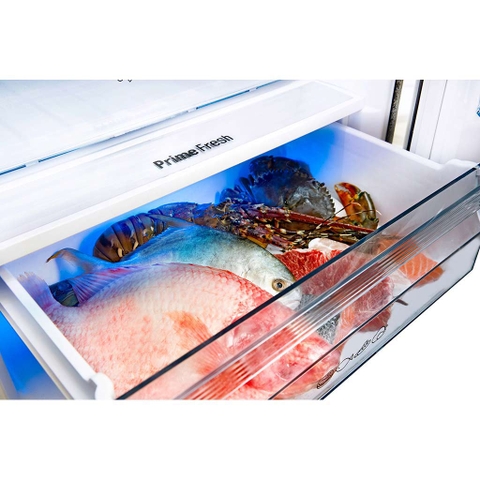 Tủ lạnh Panasonic Inverter 290 lít NR-BV320GKVN
