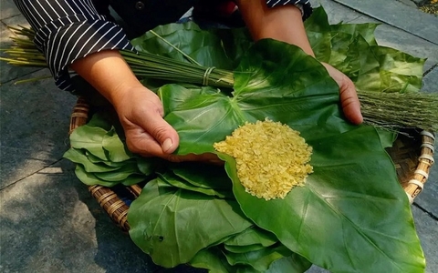 Cốm tươi là gì? Đặc điểm, cách thưởng thức và cách chọn cốm tươi ngon