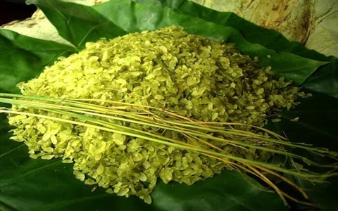Mua cốm ở đâu Hà Nội ngon và chuẩn vị?