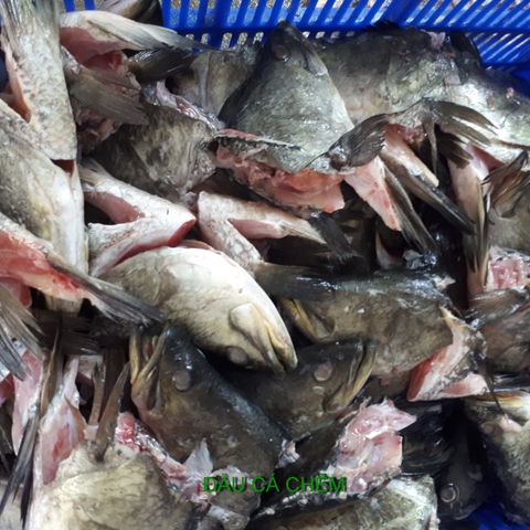 Đầu cá chẻm