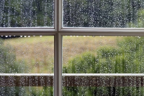 Những thiết bị điện nên có trong gia đình vào mùa mưa ẩm