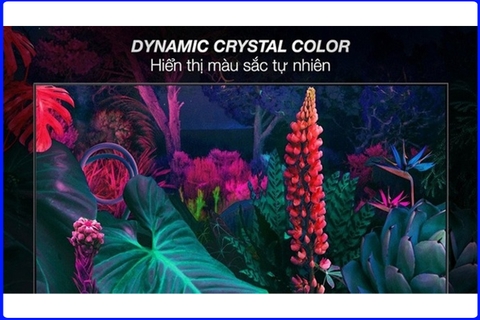 Công Nghệ Dynamic Crystal Color