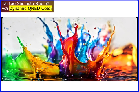 Dynamic QNED Color Mới Trên TV LG