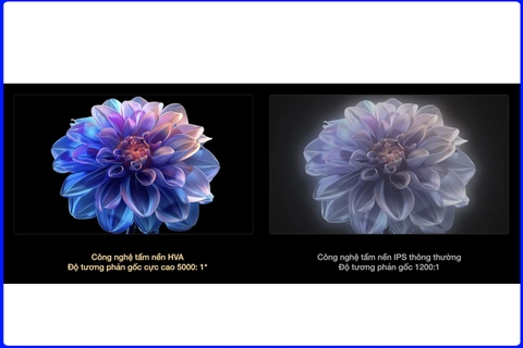 Công Nghệ Tấm Nền HVA Trên Tivi TCL