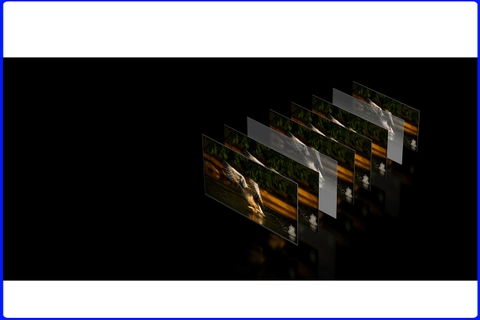 Công Nghệ MEMC trên TIVI XIAOMI  – Mượt Mà Trong Mọi Khung Hình