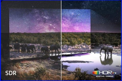 Neo Quantum HDR+ Trên Tivi Samsung