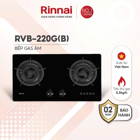 Bếp gas âm Rinnai RVB-220G(B)