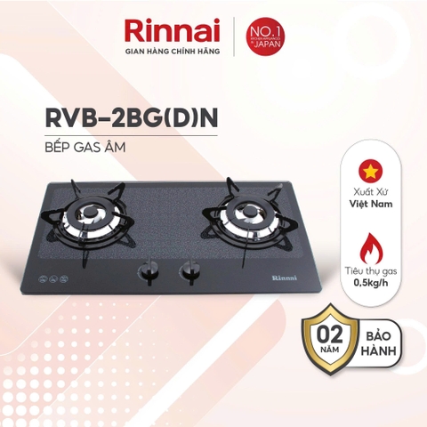 Bếp gas âm Rinnai RVB-2BG(D)N