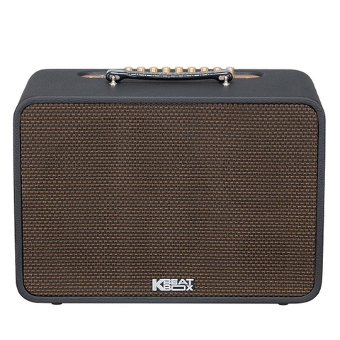 Loa karaoke di động xách tay SONCAMEDIA CS250PRO