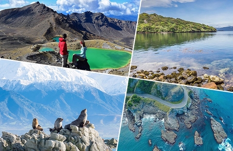 NHỮNG ĐIỀU CẦN BIẾT KHI ĐI DU LỊCH NEW ZEALAND