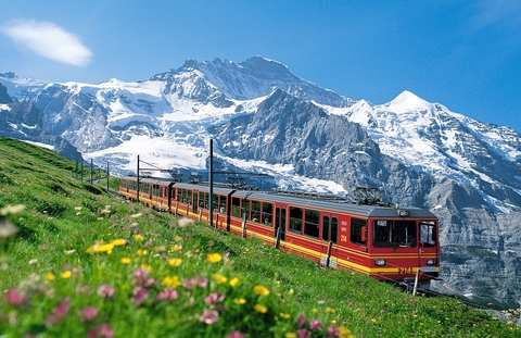 PHƯƠNG TIỆN ĐI LẠI KHI DU LỊCH NEW ZEALAND