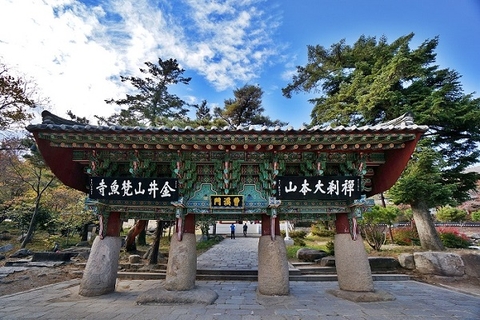 [2024] HÀN QUỐC 6N5Đ VNA XỨ SỞ KIM CHI