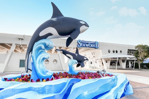 [2025] NHẬT BẢN 5N4Đ JL TOKYO - THỦY CUNG KAMOGAWA - DISNEYLAND