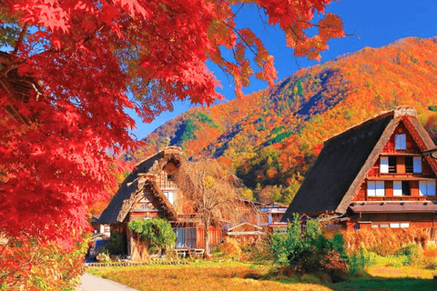 [2025] TOUR NHẬT BẢN MÙA THU 6N5Đ VNA LÀNG CỔ SHIRAKAWAGO