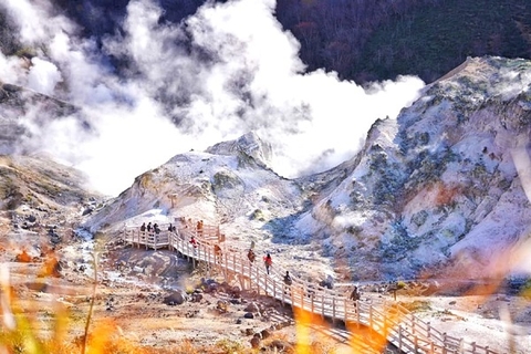 [2026] HOKKAIDO MÙA ĐÔNG 6N5Đ ANA THIÊN ĐƯỜNG TUYẾT TRẮNG NHẬT BẢN
