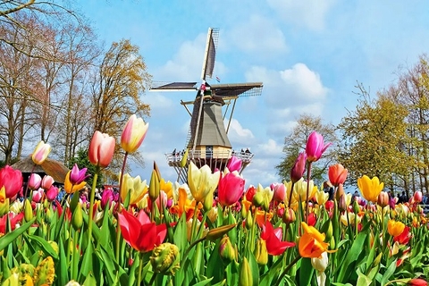[2025] THƯỞNG THỨC LỄ HỘI HOA KEUKENHOF 10N9Đ VNA ĐỨC–THUỴ SĨ-PHÁP–BỈ-HÀ LAN-ĐỨC