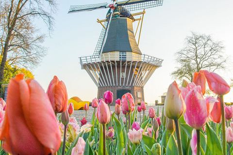 [2025] LỄ HỘI HOA TULIP 10N9Đ ĐỨC – THUỴ SỸ - LUXEMBOURG – HÀ LAN – BỈ - PHÁP