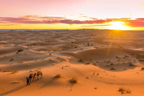 [2024&2025] AI CẬP 13N1Đ 13N12Đ CARIO-ALEXANDRIA-ỐC ĐẢO SIWA-SA MẠC SAHARA...