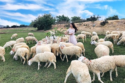 [2022] -  HÀ NỘI - NHA TRANG - NINH THUẬN 4N3Đ