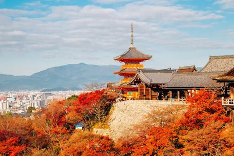 [2026] 6N5Đ VN TRẢI NGHIỆM MÙA THU NHẬT BẢN  OSAKA–KYOTO–PHÚ SĨ–TOKYO