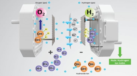 8 lý do nên mua máy lọc nước Kangaroo Hydrogen KG12A6 cho gia đình