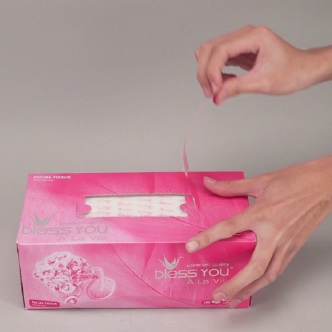 [Thùng 60 Hộp]  Hộp Khăn Giấy lụa Bless You À La Vie 2 lớp, 180 Tờ/Hộp (BiBiSTORE)