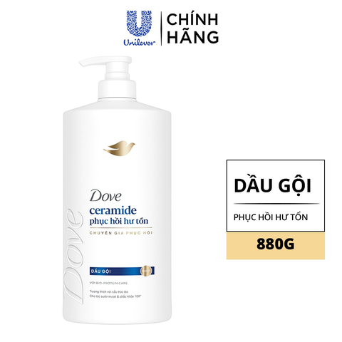 Dầu gội Dove chai 880g