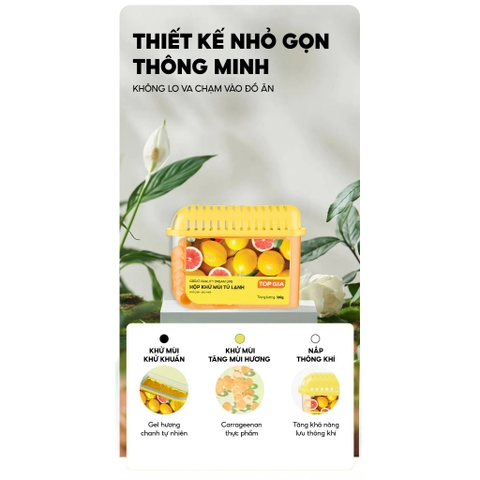Hộp khử mùi tủ lạnh TopGia 160g