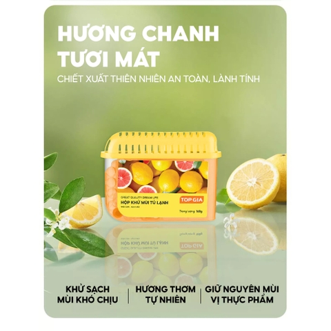 Hộp khử mùi tủ lạnh TopGia 160g