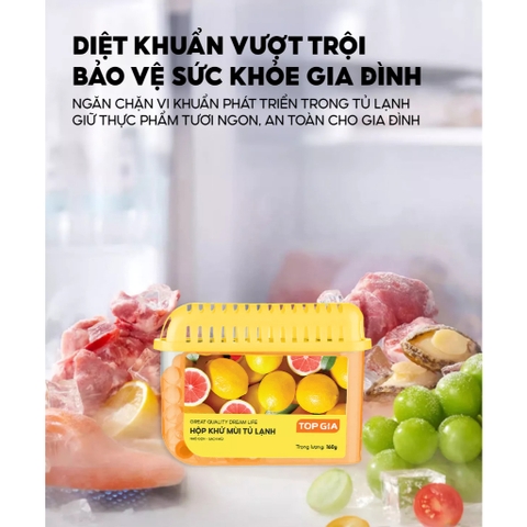 Hộp khử mùi tủ lạnh TopGia 160g