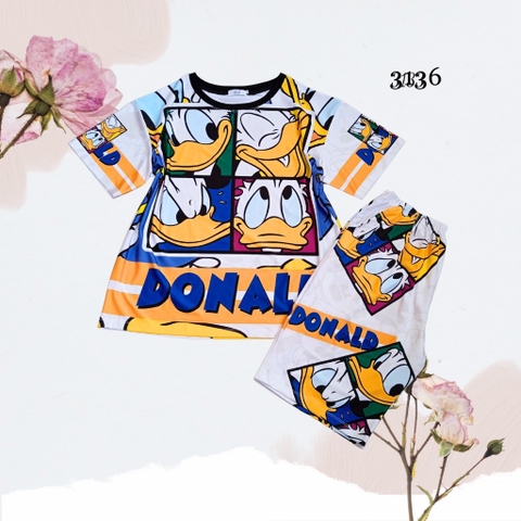 Bộ Lửng Big Size 4c - SNL4C3136