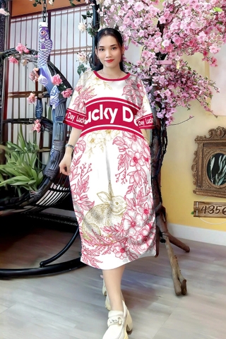 Đầm Suông Nữ Big Size XL - DD4356