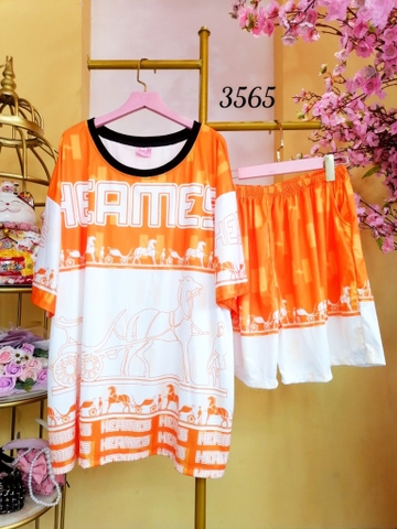 Bộ Đùi Nữ 3XL - B3XL3565