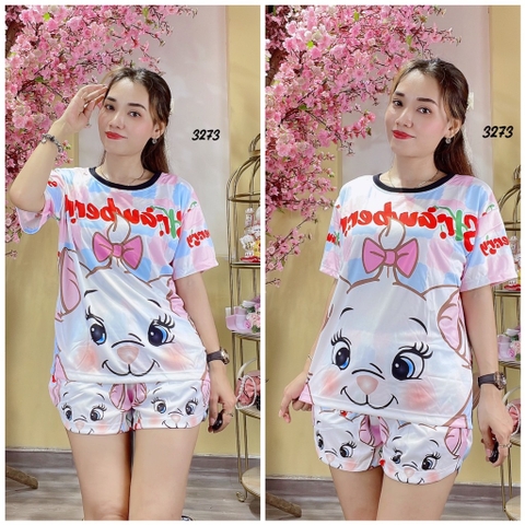 Bộ Đùi Nữ L - BN3273