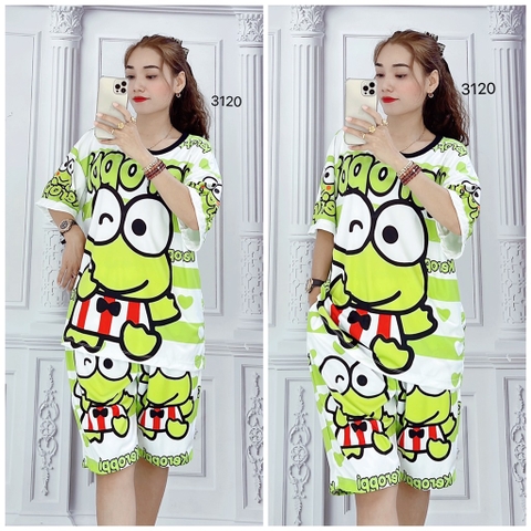 Bộ Lửng Nữ L - SNN3120