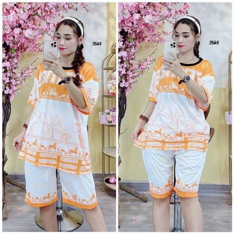 Bộ Lửng Nữ XL - SNL3565
