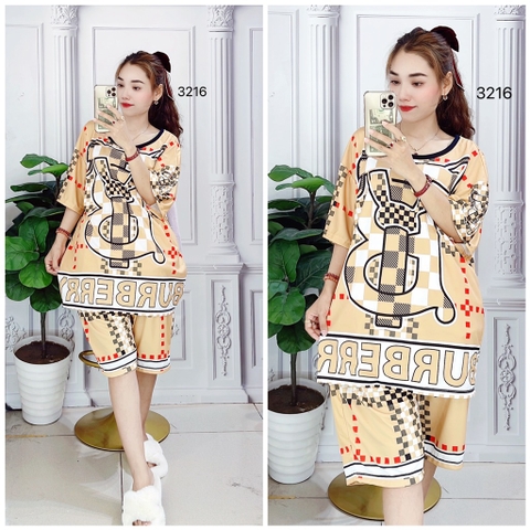 Bộ Lửng Nữ 2XL - SNL2XL3216